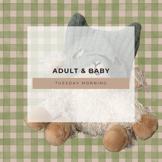 Adult & Baby Tuesday 3 Mornings 2 hours